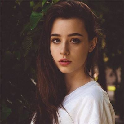 半岛·综合下载手机版