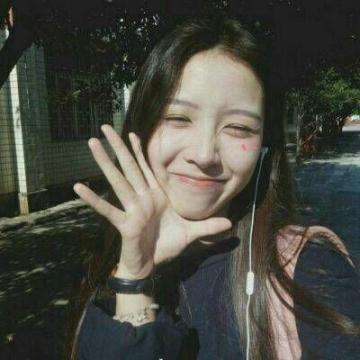 半岛·综合下载手机版