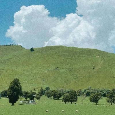 火狐体育下载app下载手机版