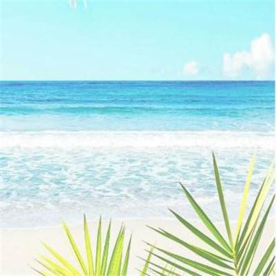 助赢软件app手机app下载