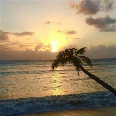 皇冠体育手机版