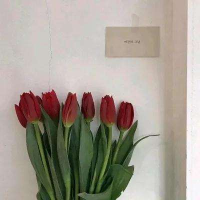 49图库一资料中心